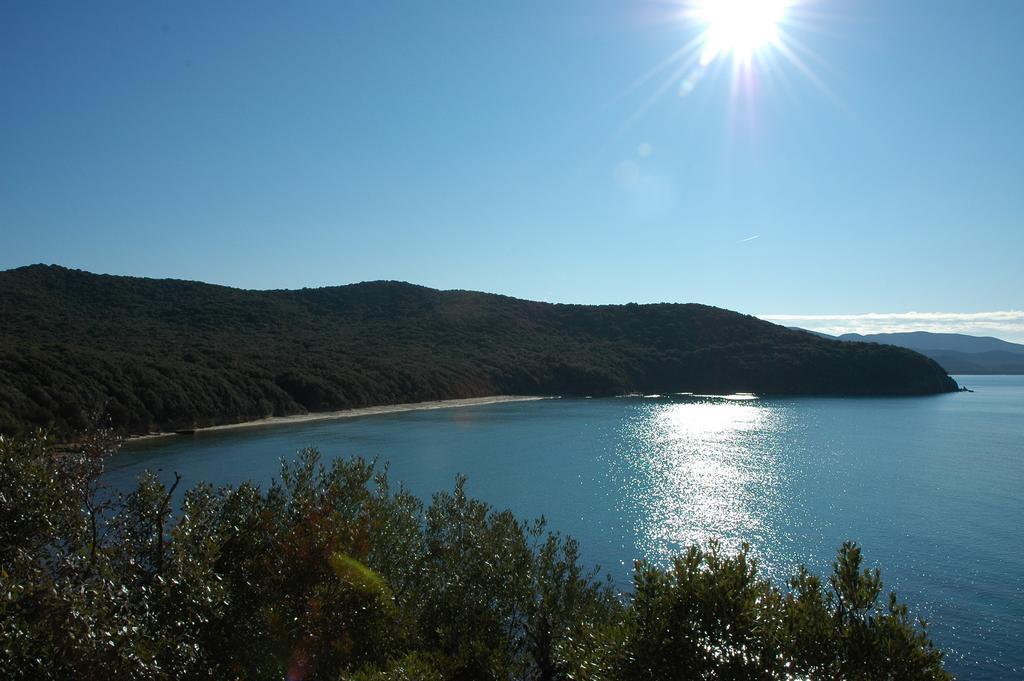 Agriturismo Le Piane Del Milia Suvereto Eksteriør bilde