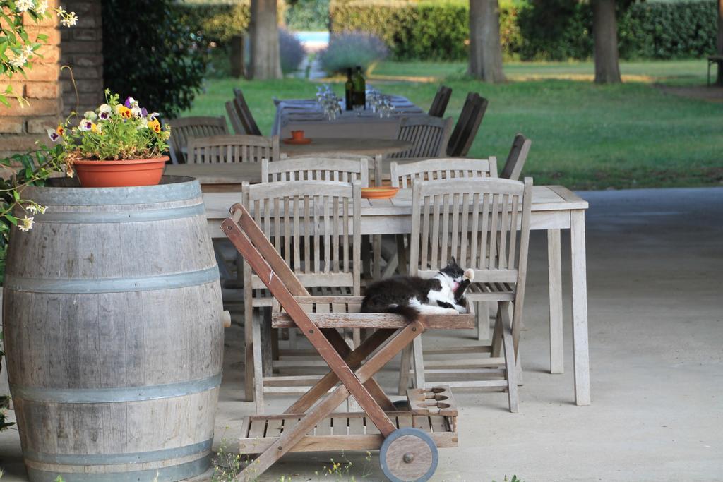 Agriturismo Le Piane Del Milia Suvereto Eksteriør bilde