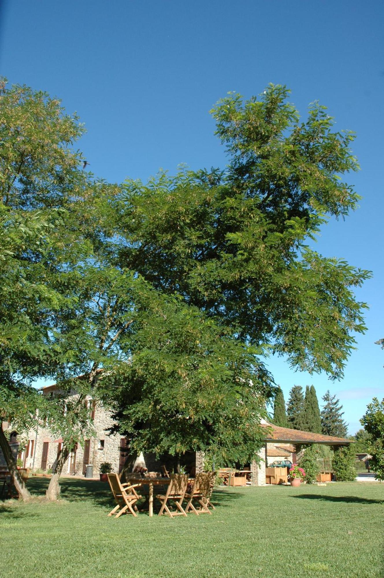 Agriturismo Le Piane Del Milia Suvereto Eksteriør bilde